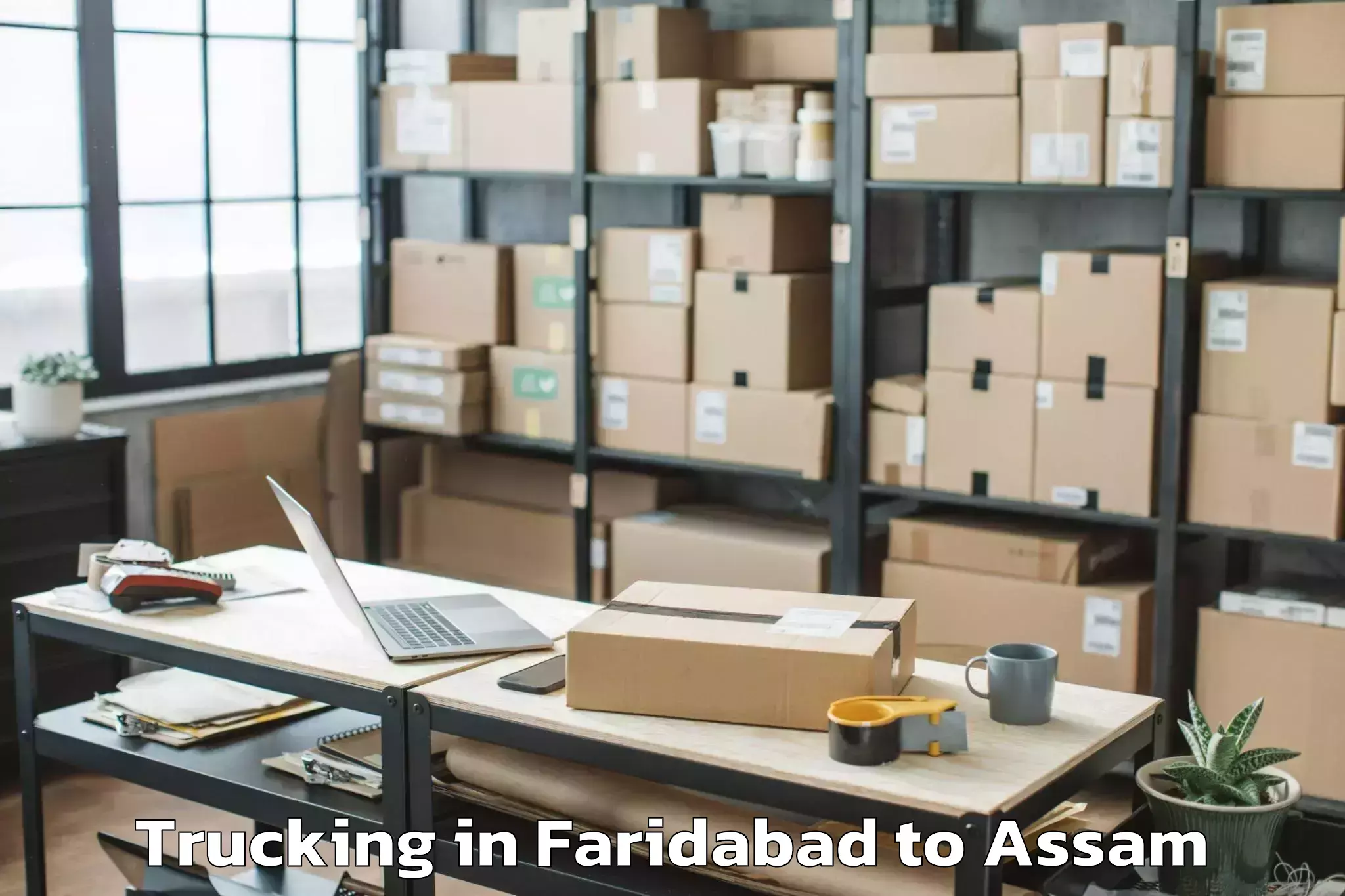 Hassle-Free Faridabad to Silapathar Trucking